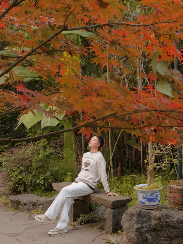 많은 중경 사람들이 이 공원에 가본 적이 없지만, 정말 아름답습니다