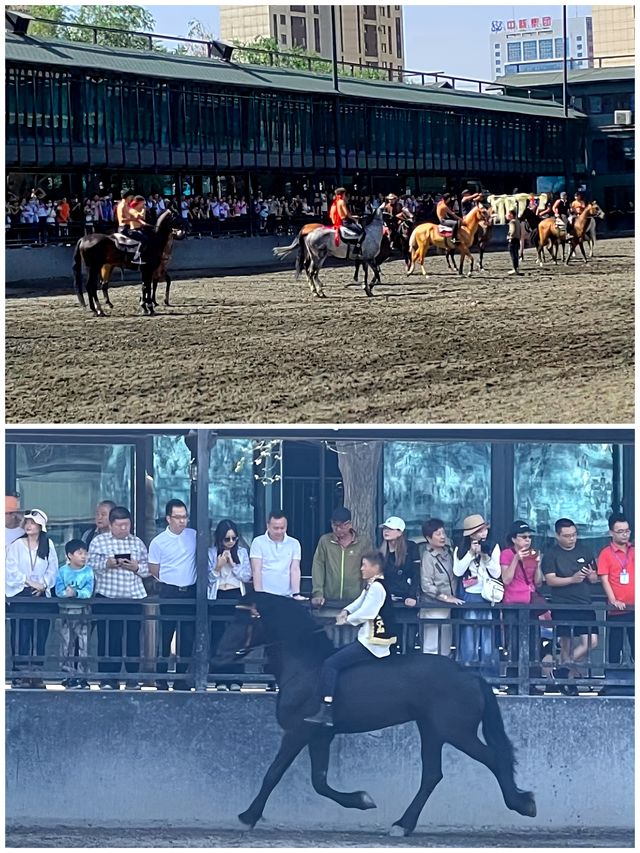 秋遊南北疆丨汗血寶馬基地