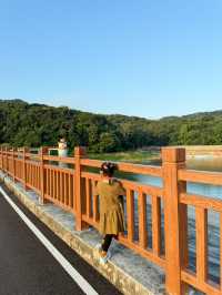 白雲山小眾徒步輕鬆路線，遇見了絕美風景