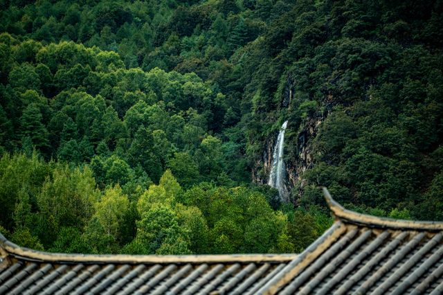 玉龍雪山下，神的自留地 ▏桃花塢牧場