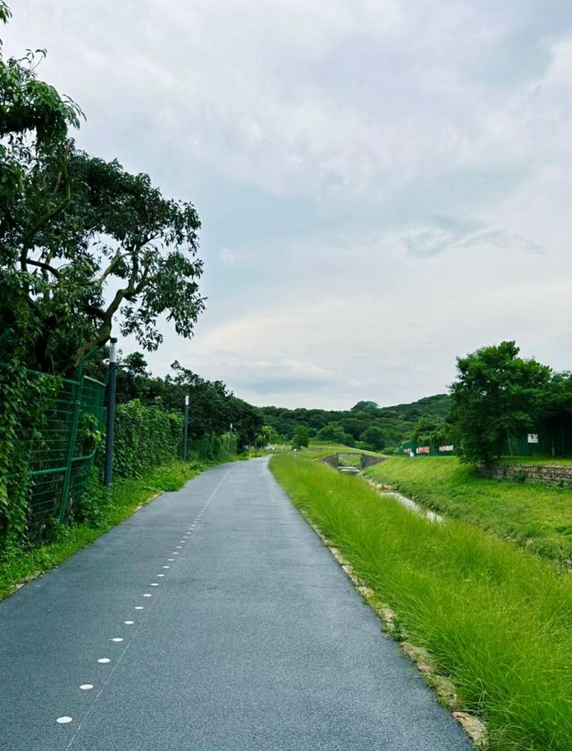 深圳出遊|小眾人少治癒系碧道