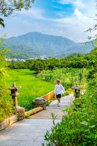 去山裡過夏天！相信我這就是廣州玩水天花板！