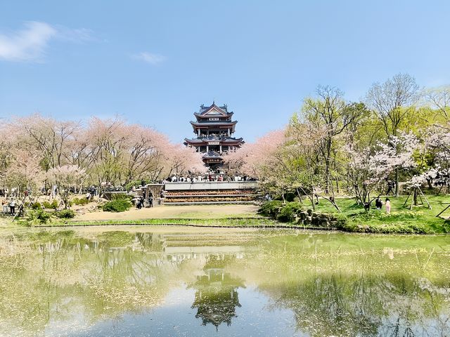 走！去無錫賞櫻--3天2夜休閒遊