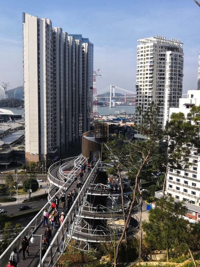健康步道雲海線～狐尾山賞櫻