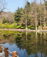 青島植物園，人少花又美