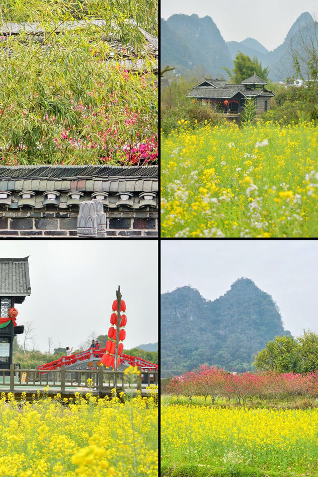 春遊賞花記｜走進桂林的“桃花源”（附攻略）