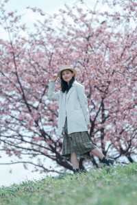 櫻花難民在東京拍到了人生照片！