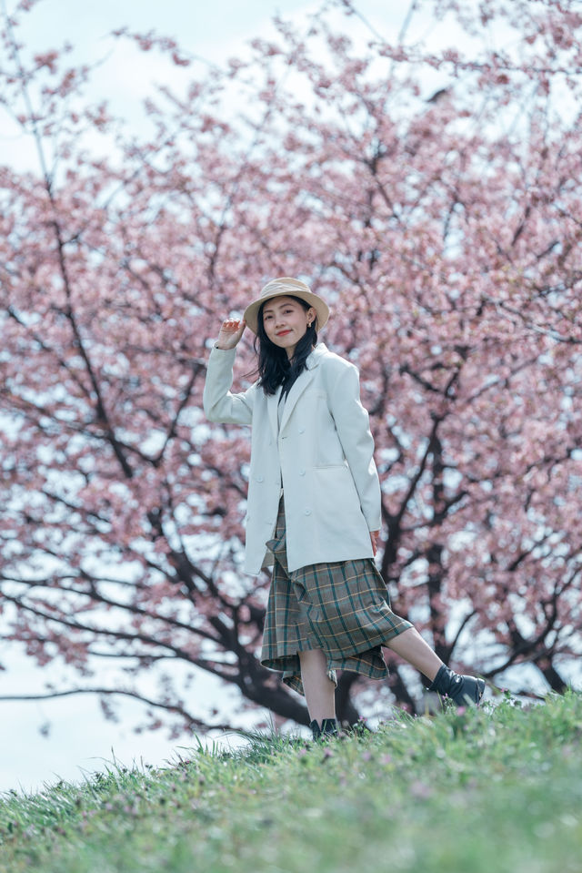 櫻花難民在東京拍到了人生照片！