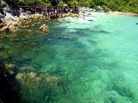泰國珊瑚島：探索海底世界的天堂！
