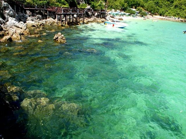 泰國珊瑚島：探索海底世界的天堂！