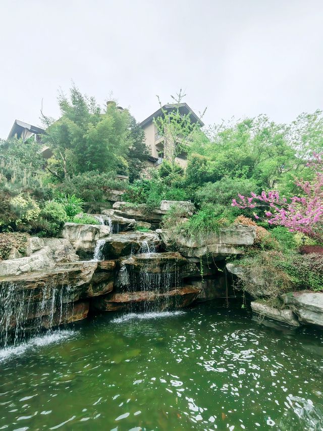 安吉JW萬豪酒店，只看過一眼，就沒法忘記那容顏