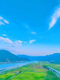 杭州油菜花海：金色海洋，心靈療癒之地！