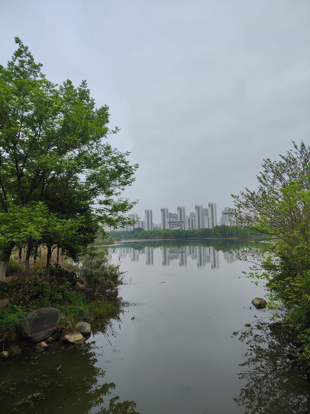 江西南昌 象湖濕地公園 洗肺絕佳地