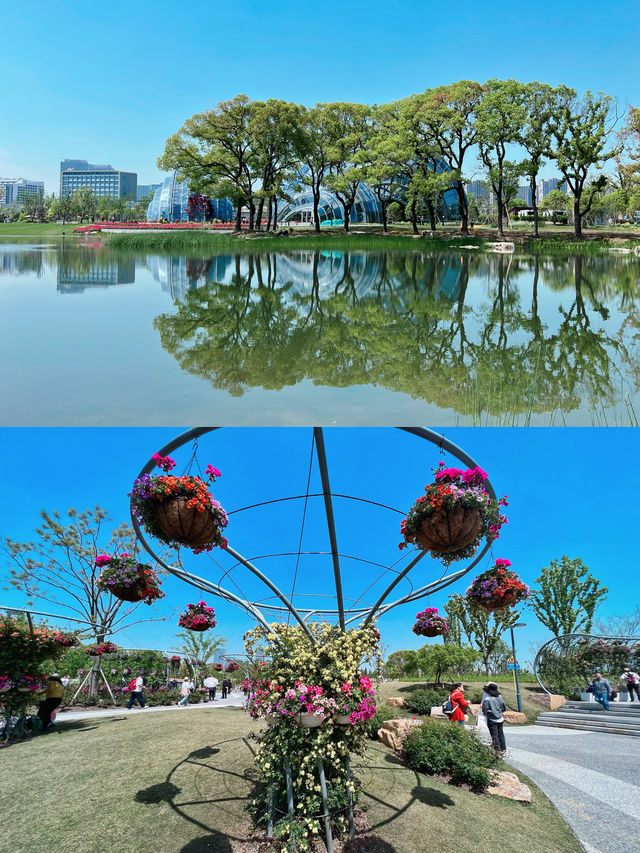 上海植物園，妳玩得可真花