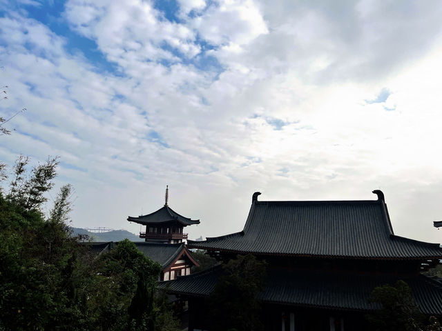 我的寺廟之旅 | 深圳海拔最高的寺廟——大華興寺