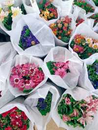 春日鮮花開滿街 | in旺角花墟