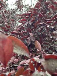 週末逃離計劃—龍泉湖公園