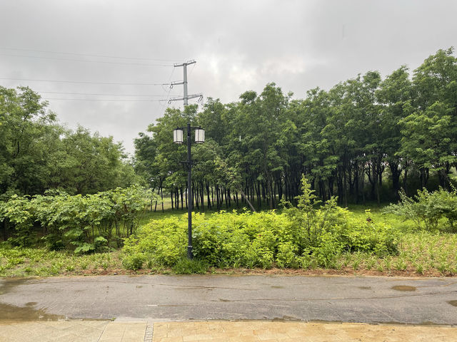 週末逃離計劃—龍泉湖公園