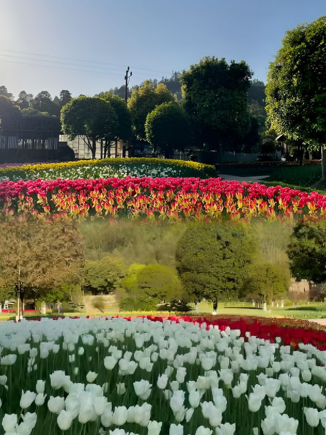 太寺垭森林公園太好玩了，不來後悔！！