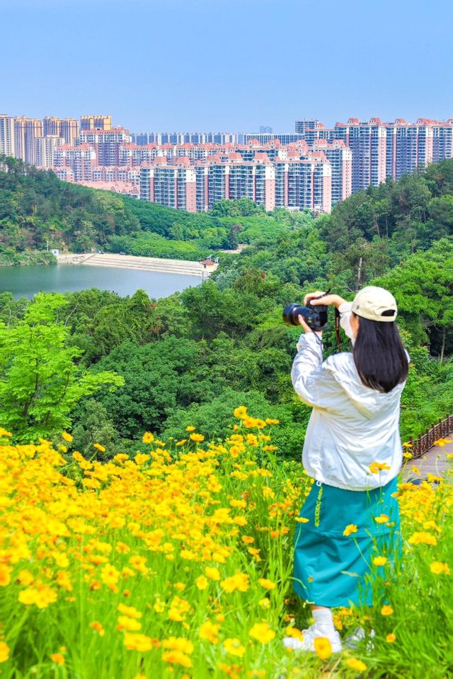 別擠東湖了！武漢這條小眾徒步路線太治癒了