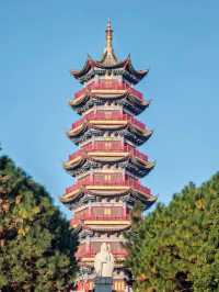 錦苑山公園