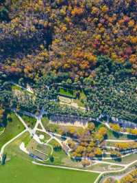 🌟 Unwind in Georgia: Bioli Wellness Resort Highlights 🏞️
