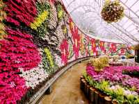 London Garden Great Obsession