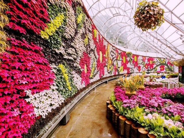 London Garden Great Obsession