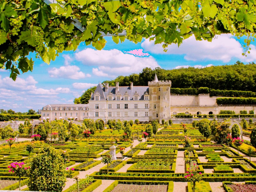 The Garden Which Amazes Imagination