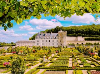 The Garden Which Amazes Imagination