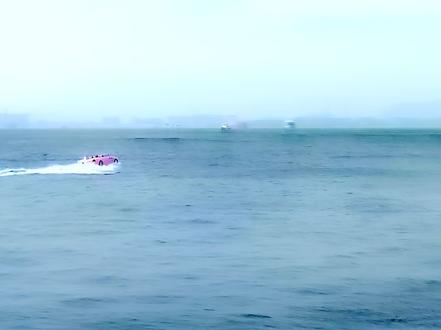 美麗東港