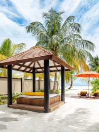 🌴🏖️ Maldives Magic: A Slice of Paradise at Angsana Velavaru 🌞✨