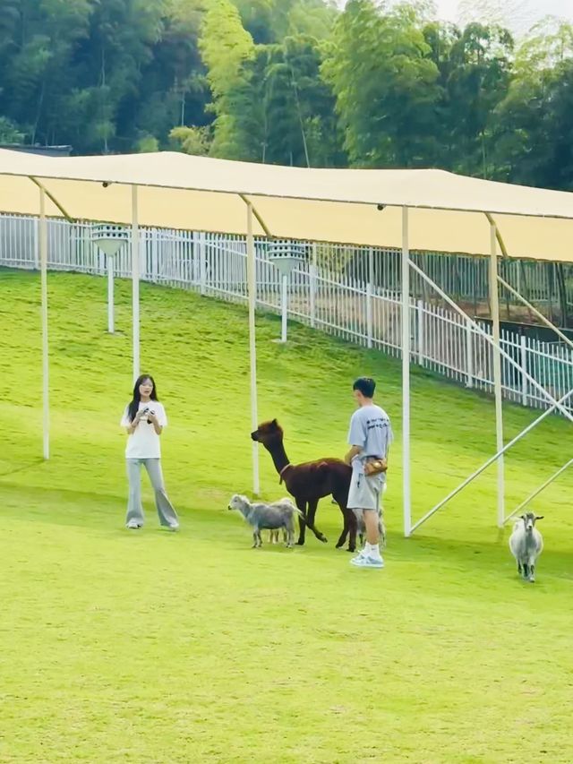 莫干山天際森谷山野樂園遊玩攻略