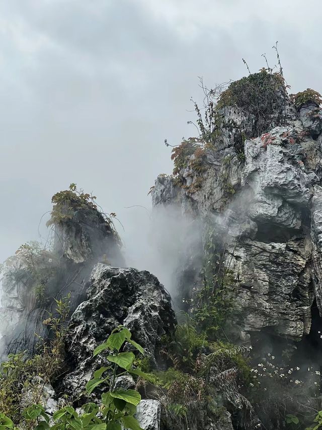 珠海翠湖香山小鎮仙欲飄飄
