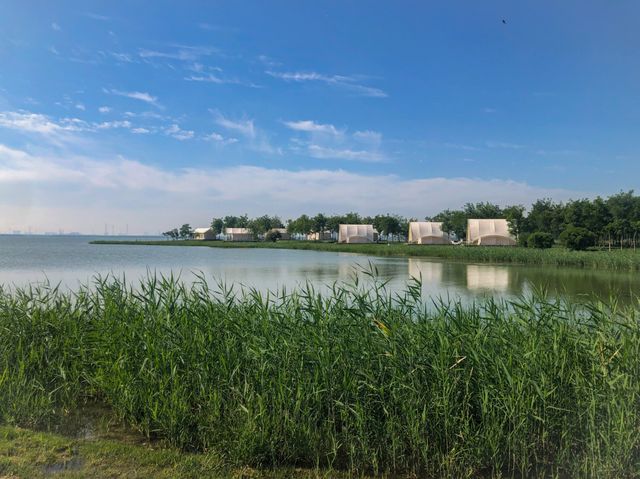 東麗湖生態美景醉遊人
