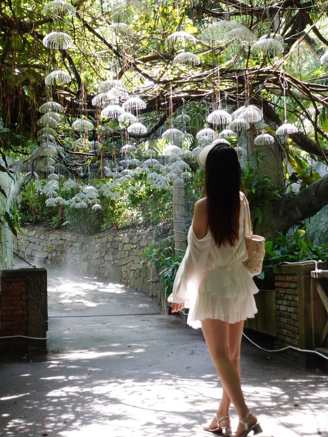 深圳探秘 | 有丁达尔效应的热带雨林