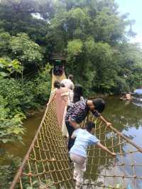 深圳探秘 | 有丁达尔效应的热带雨林