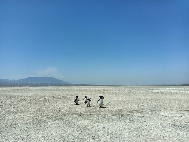 中國死海