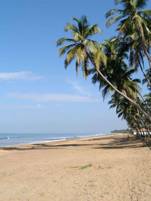 🌴🏨 Sri Lanka Stay: Top Picks in Wadduwa! 🌊🛏️