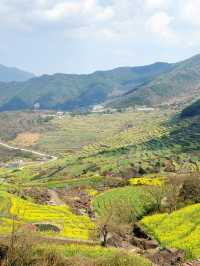 覆卮山