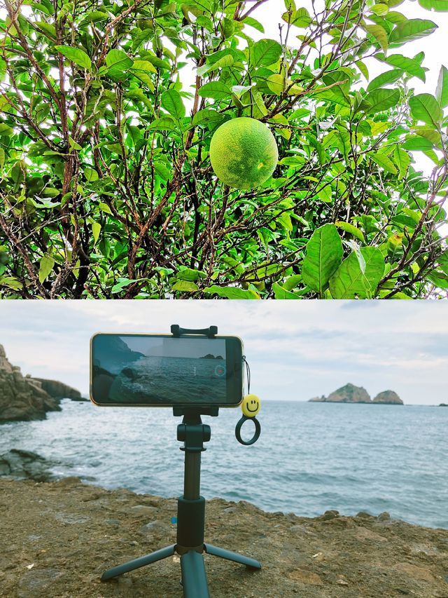 夏日自然要去海邊玩水啦—枸杞島的我們