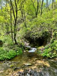 河南欒川重渡溝