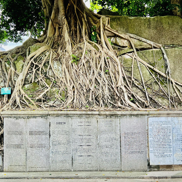 種草澳門白鴿巢公園
