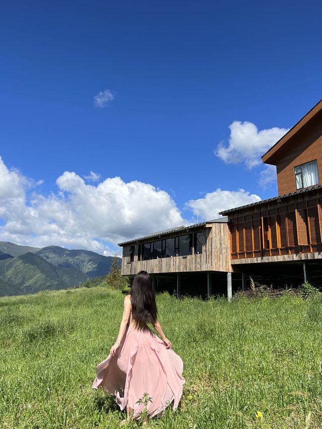 不是瑞士！住進了雲上森林小木屋！！