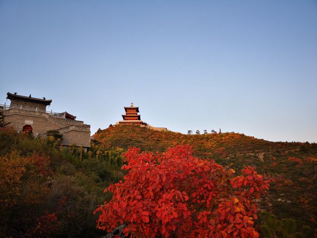 霜葉紅於二月花