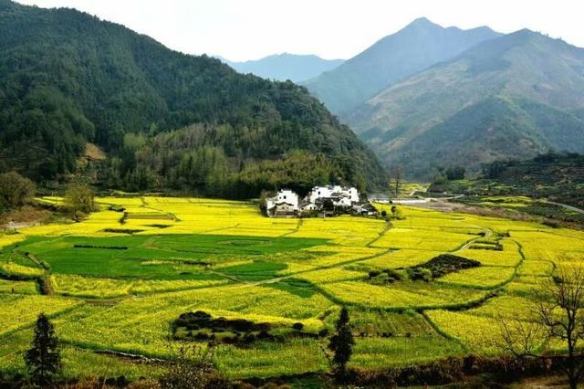 徽州大山裡的徽饒古道