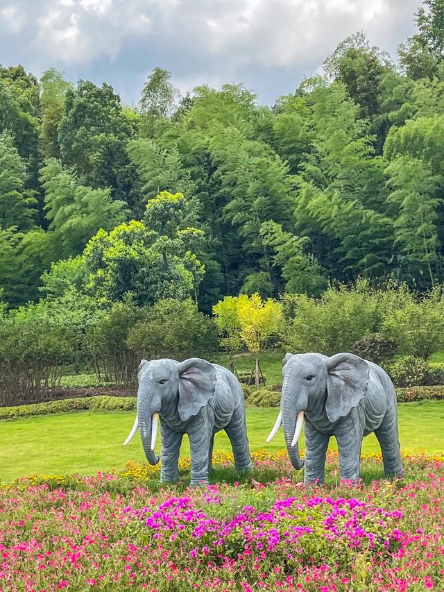 被常德動物園裡小動物治癒！來抄遊玩攻略啦||：湖南常德野生動物世界總佔地2500畝 園區裡面有世。