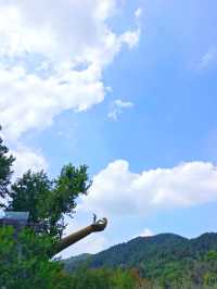 金秋短暫，一起盡情遊山玩水和捕魚捉蝦吧!