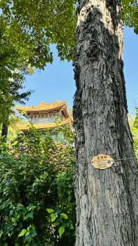 清幽西黃寺。
