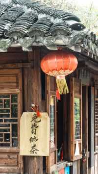 梅花洲怎麼變成綠野仙蹤了。